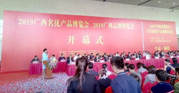 广西通灵大峡谷闪耀2019年国家级博览会，助推旅游品牌升级